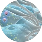 Un planeta con anillos a su alrededor