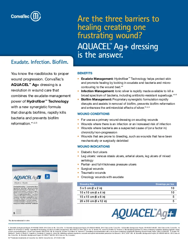 interface gráfica do usuário, texto, aplicativo, Word