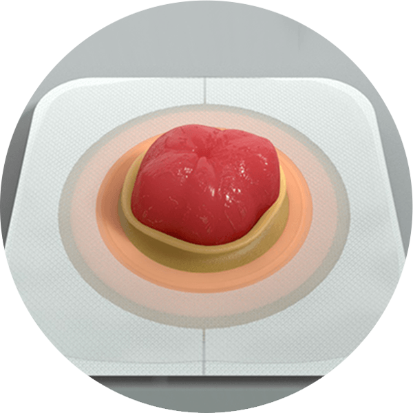 um prato com comida sobre ele